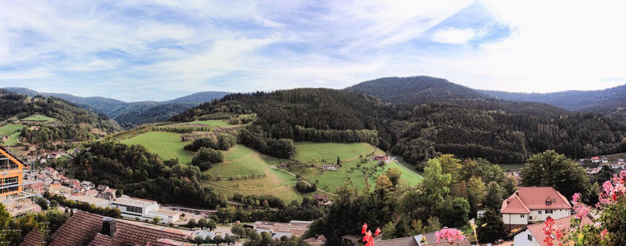 Hotel Schauinsland Bad Peterstal-Griesbach Eksteriør bilde