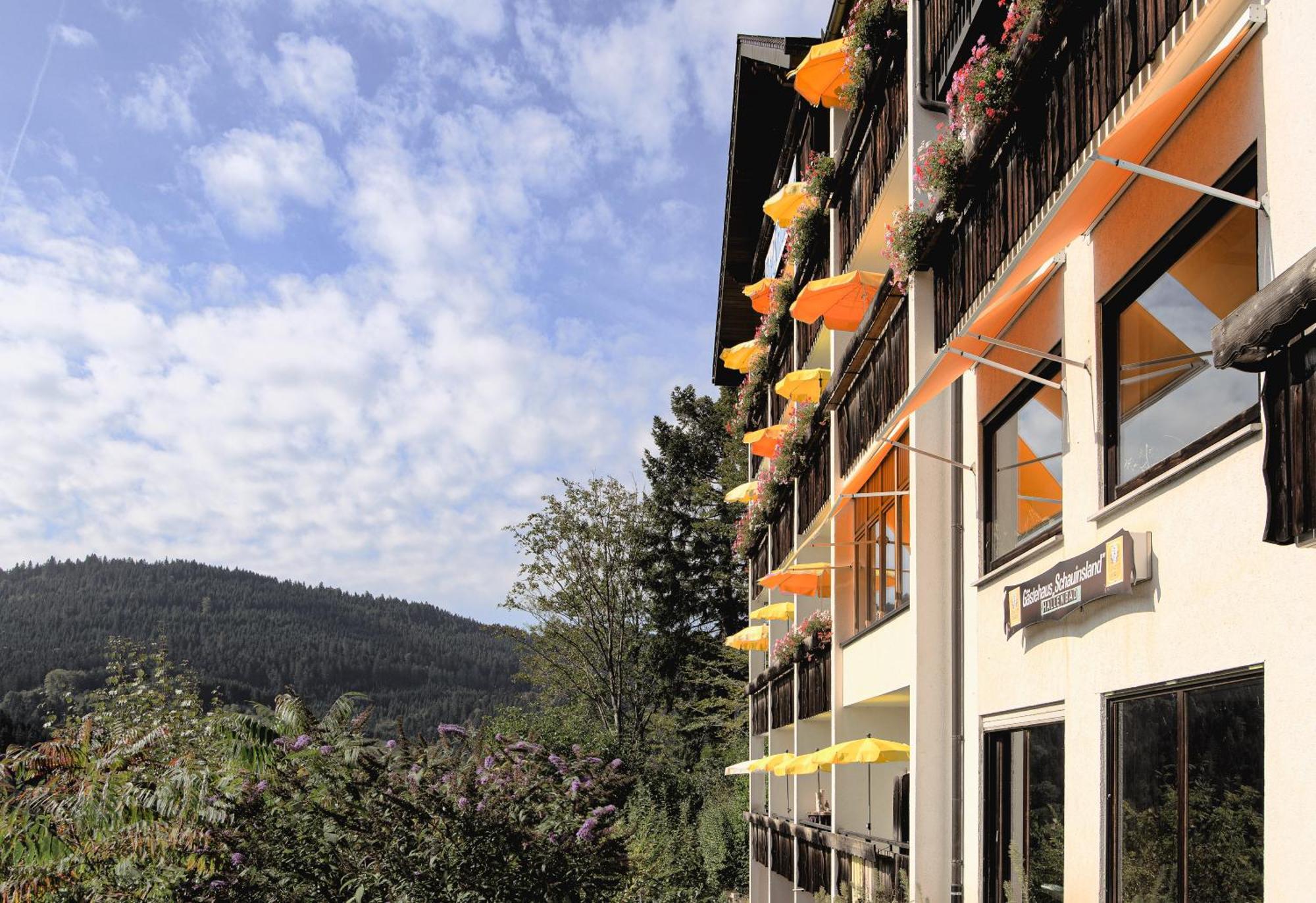 Hotel Schauinsland Bad Peterstal-Griesbach Eksteriør bilde